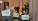thumbnail_IMG20250709153415