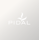 Logo Pidal